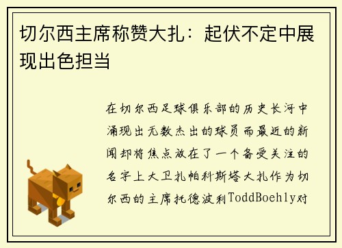 切尔西主席称赞大扎：起伏不定中展现出色担当