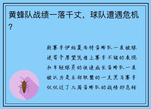 黄蜂队战绩一落千丈，球队遭遇危机？